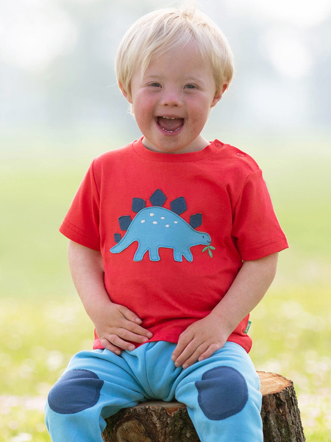 Child wearing a red shirt with a blue dinosaur design, sitting on a log outdoors.
