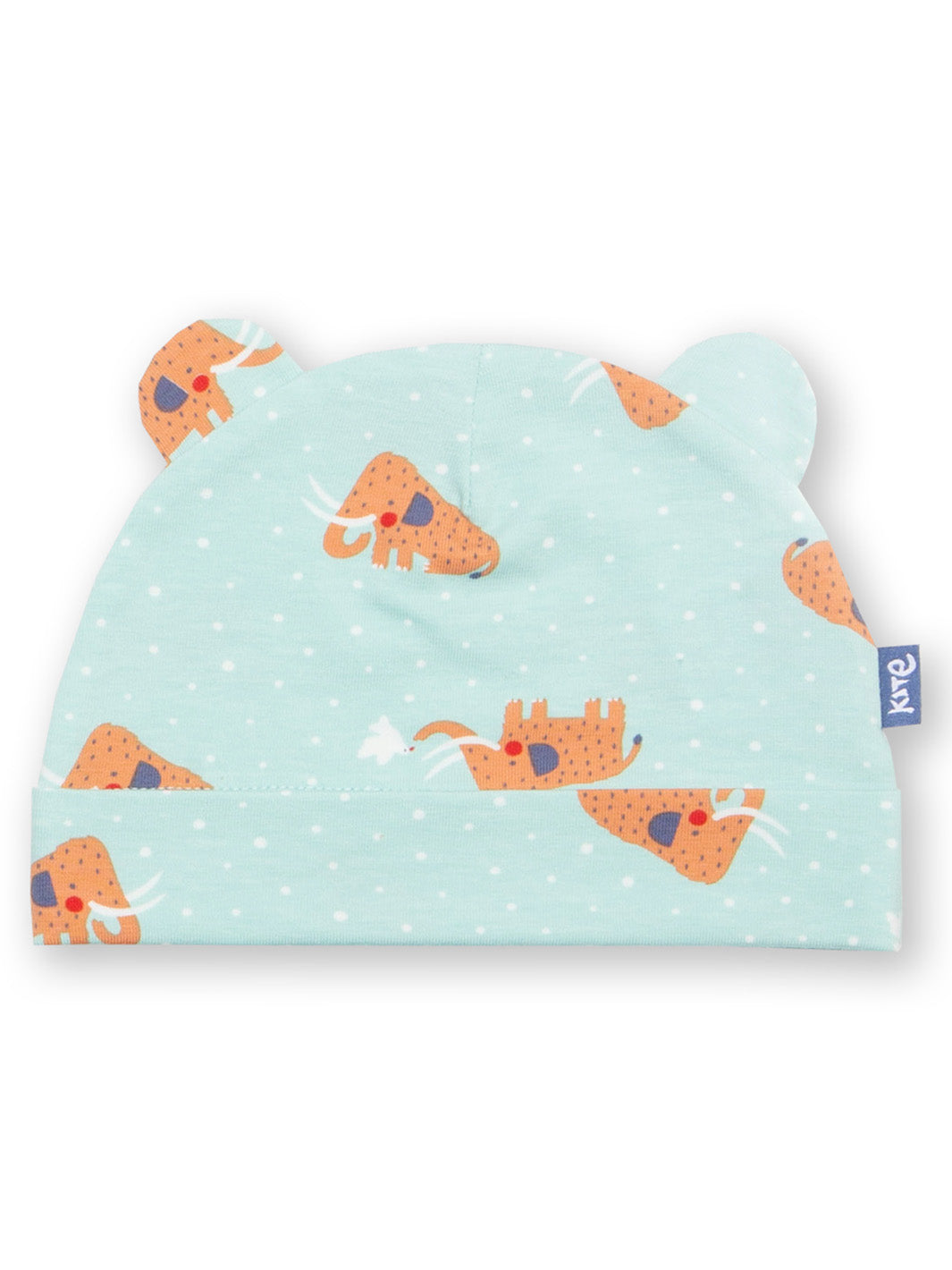 Baby hat with mammoth pattern on a light blue background