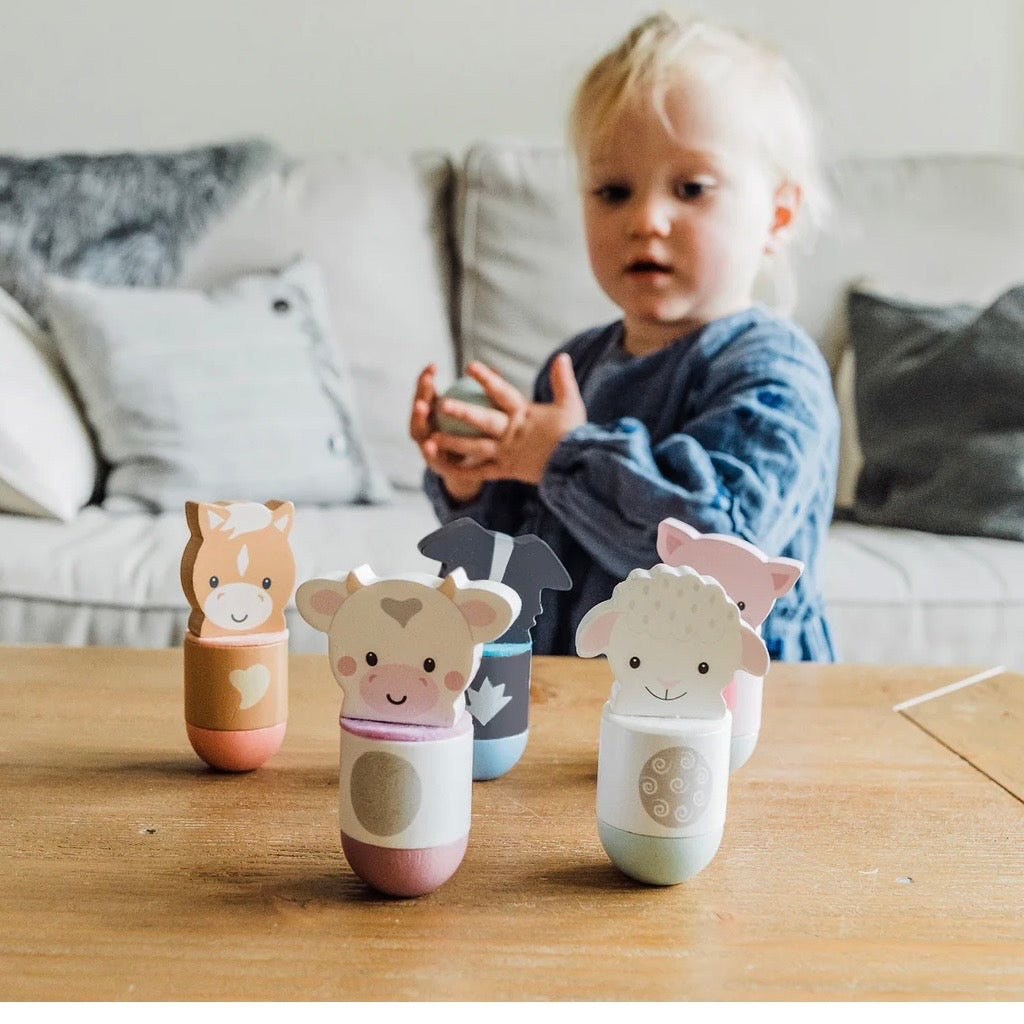 Farmyard themed skittles 
Wooden toys