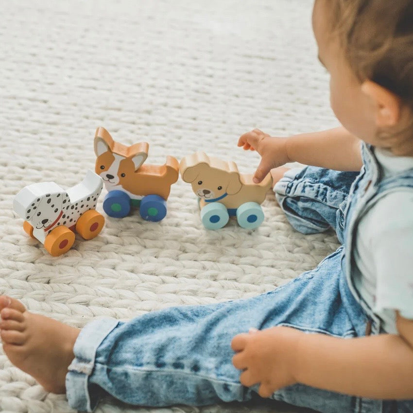 Baby playing with our wooden Puppy Push Toys