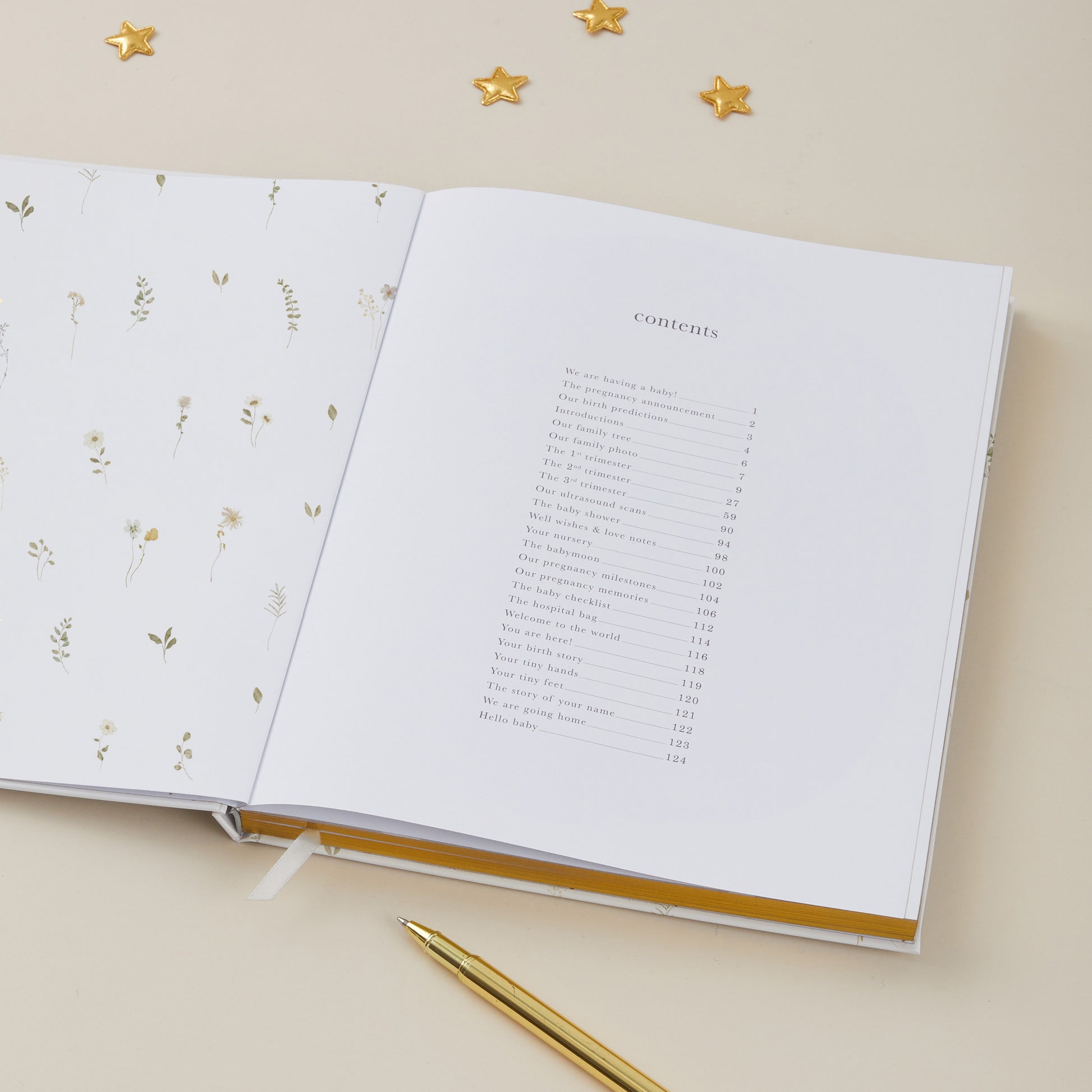 Open Pregnancy Journal  with floral design on one page and text on the other, gold pen on beige surface.
Blush & Gold 