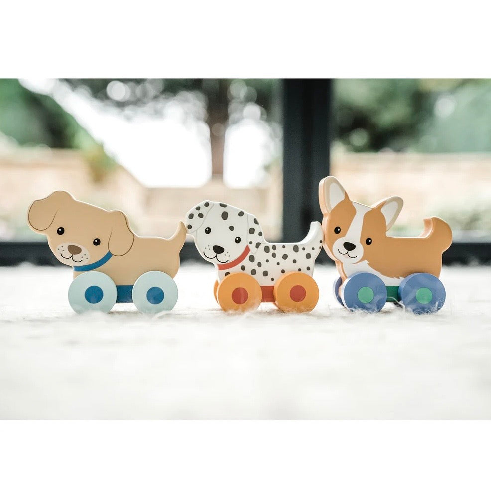 Set of three Puppy Push Toys, helps to teach children motor skills