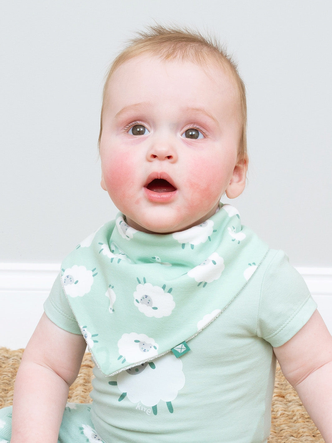 Baby wearing a green bib with sheep pattern on a white background
A lovely token gift for new baby. Matching items available! 