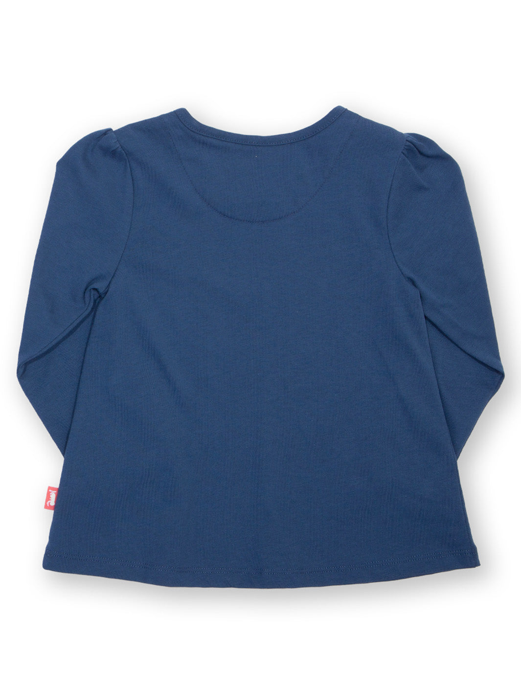 Back of Tortoise Tunic- Blue long-sleeve shirt on a white background
