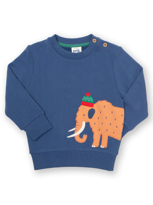 Blue sweatshirt with an mammoth design on a white background